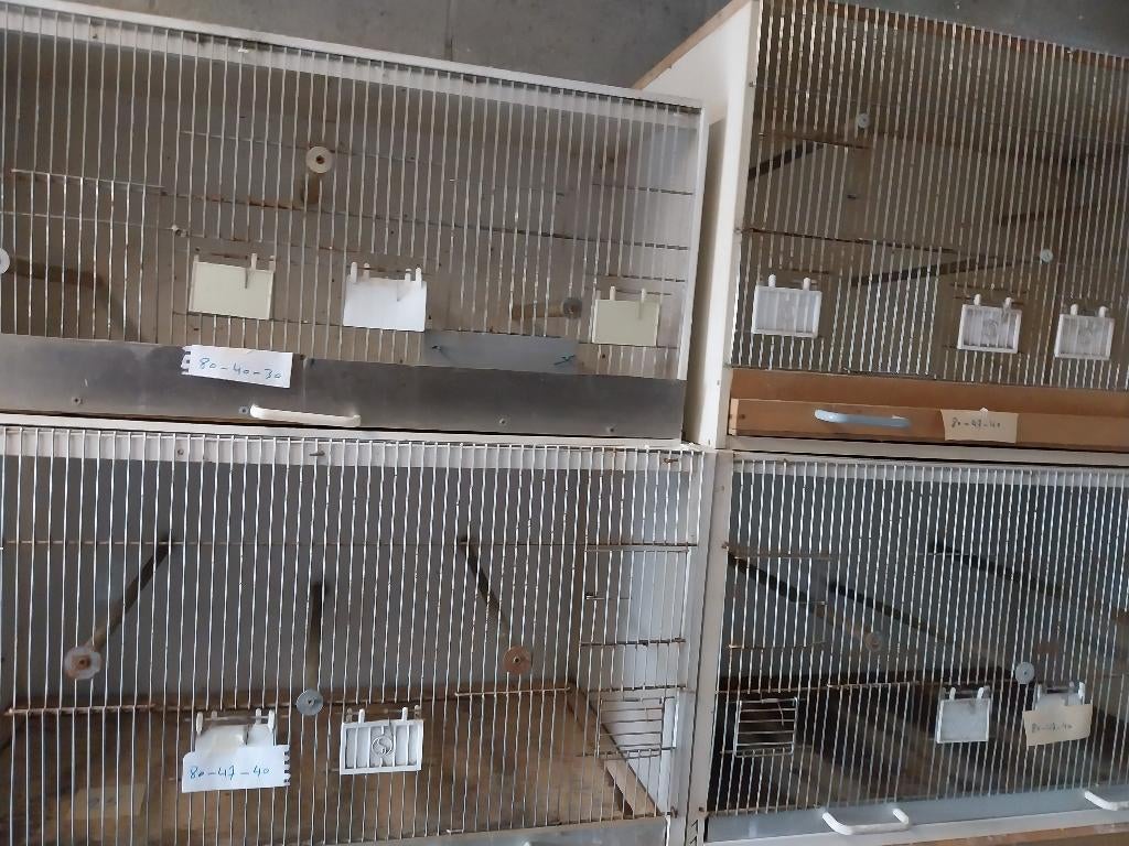 lot kweekkooien, Enlèvement, Utilisé, Bois, Cage d'élevage