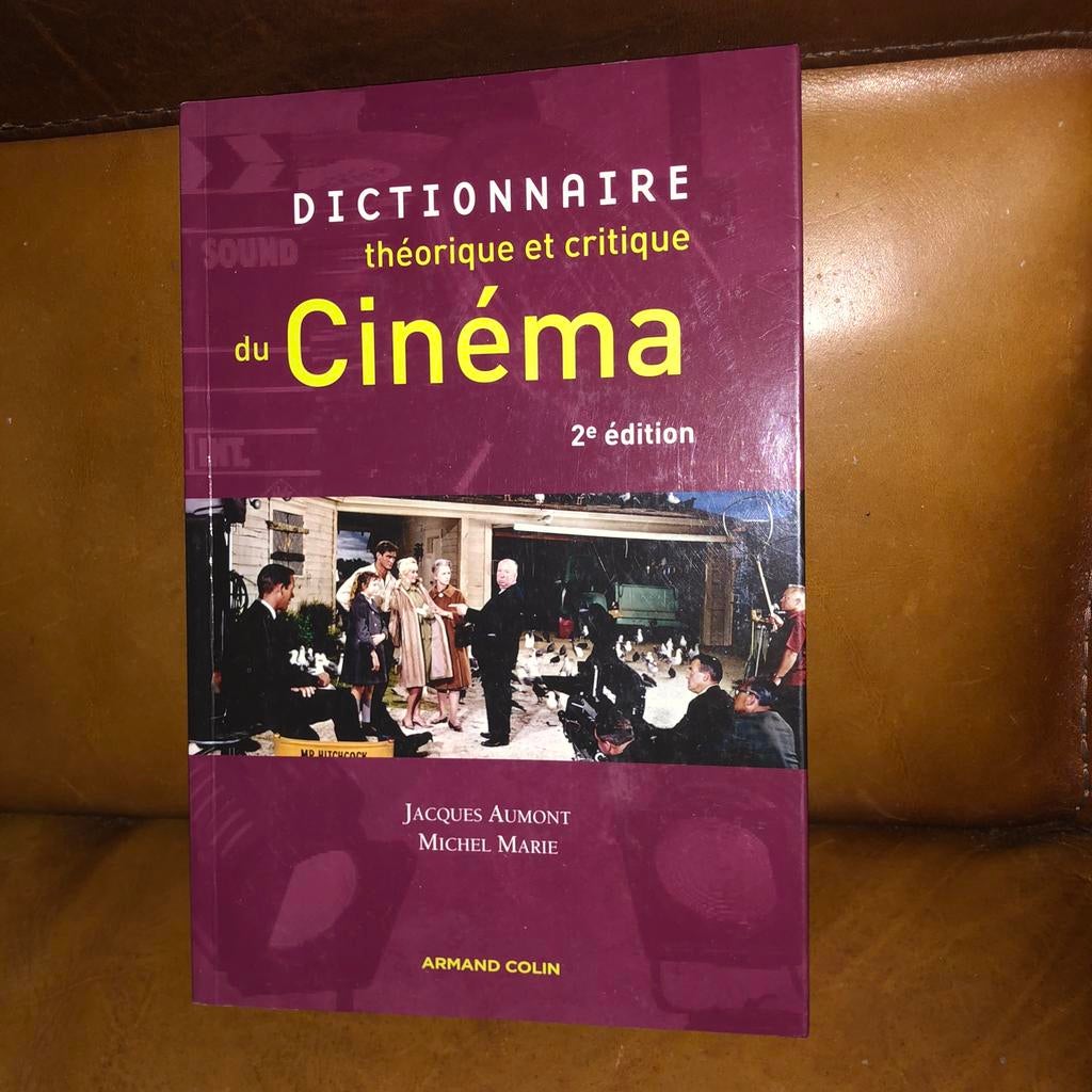Dictionnaire theorique et critique du Cinema, Enlèvement