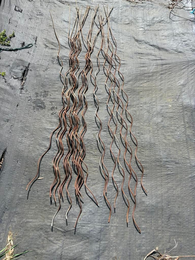 Tuteurs tomates, Jardin & Terrasse, Enlèvement