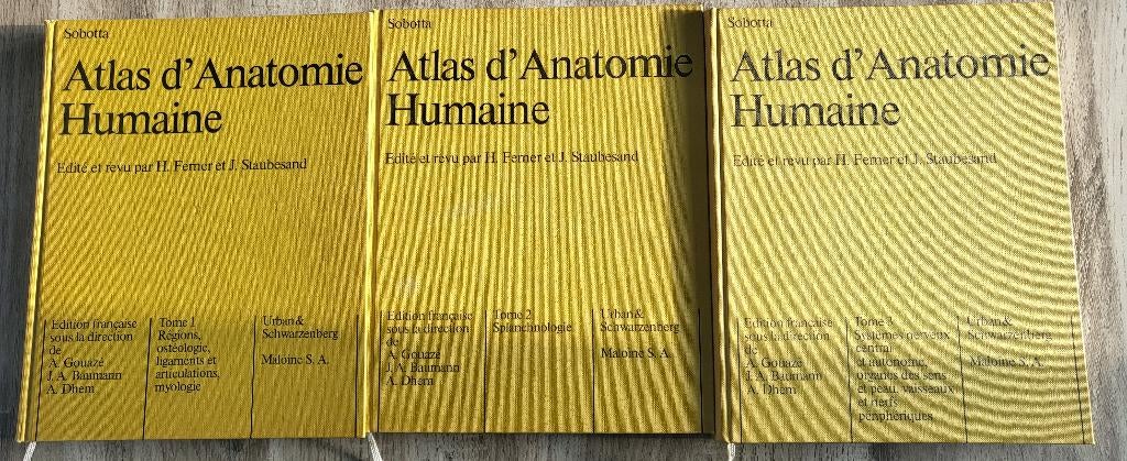 ATLAS ANATOMIE SOBOTTA PERFECTE CONDITIE, Boeken, Ophalen, Zo goed als nieuw