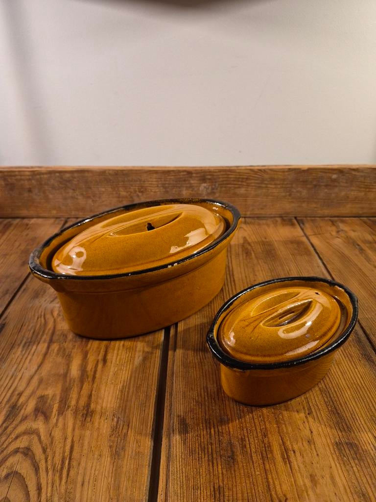 Terrines (geglazuurd aardewerk) voor bereiding en koken