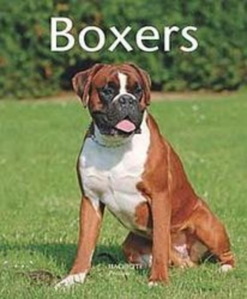 Livre sur le Boxer, Enlèvement, Neuf, Chiens
