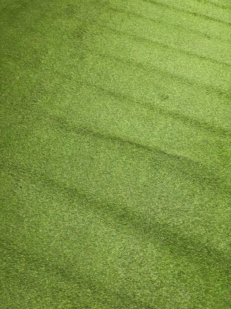 Tapis pelouse, Jardin & Terrasse, Gazon & Gazon artificiel, Enlèvement, Utilisé, 10 à 20 m², Gazon artificiel