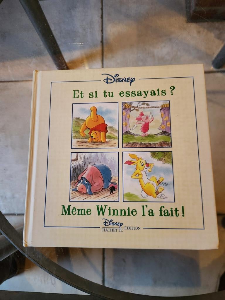 Livre : "Et si tu essayais? Même Winnie l'a fait", Livres, Garçon ou Fille, Enlèvement ou Envoi, Fiction général, Utilisé