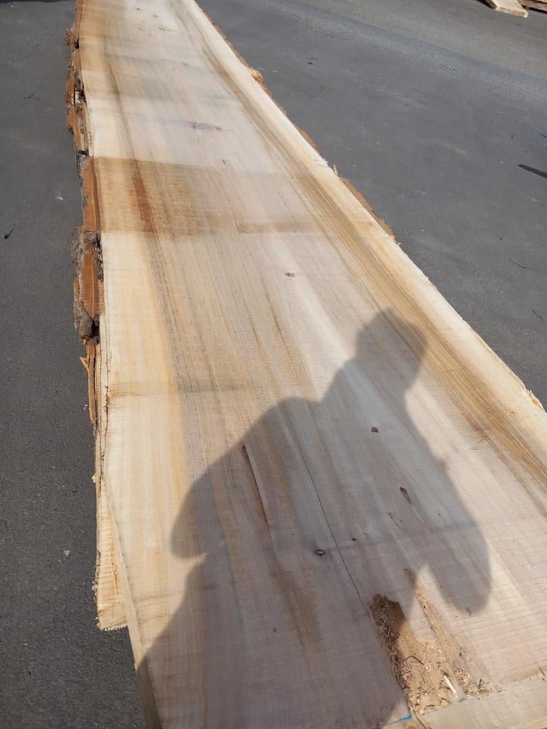 Boomstamtafels tafelbladen planken Wandplanken badkamer, Ophalen, Nieuw, Planken