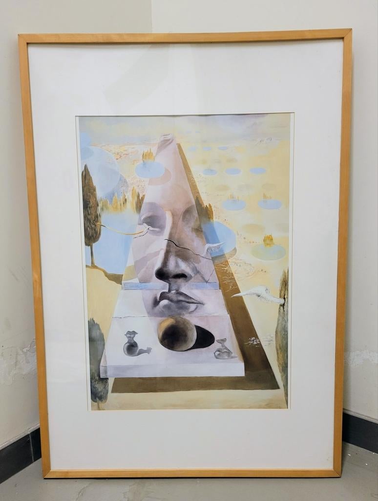 Reproductie van Salvador Dali., Ophalen