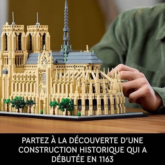 LEGO Architecture | Notre Dame | LIVRAISON GRATUITE, Neuf, -, Ensemble complet, LEGO