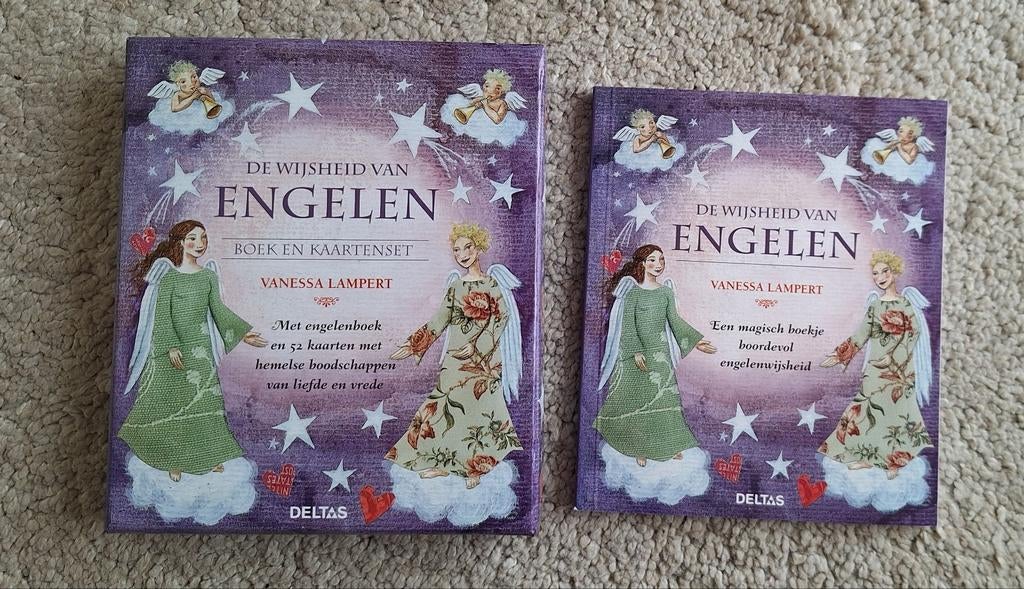 Vanessa Lampert - De wijsheid van engelen, Boeken, Ophalen of Verzenden, Zo goed als nieuw, Vanessa Lampert