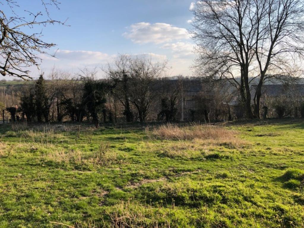 Mooie rechthoekige bouwgrond met prachtig uitzicht, Immo, Gronden en Bouwgronden, Bassenge, Verkoop zonder makelaar, 500 tot 1000 m²