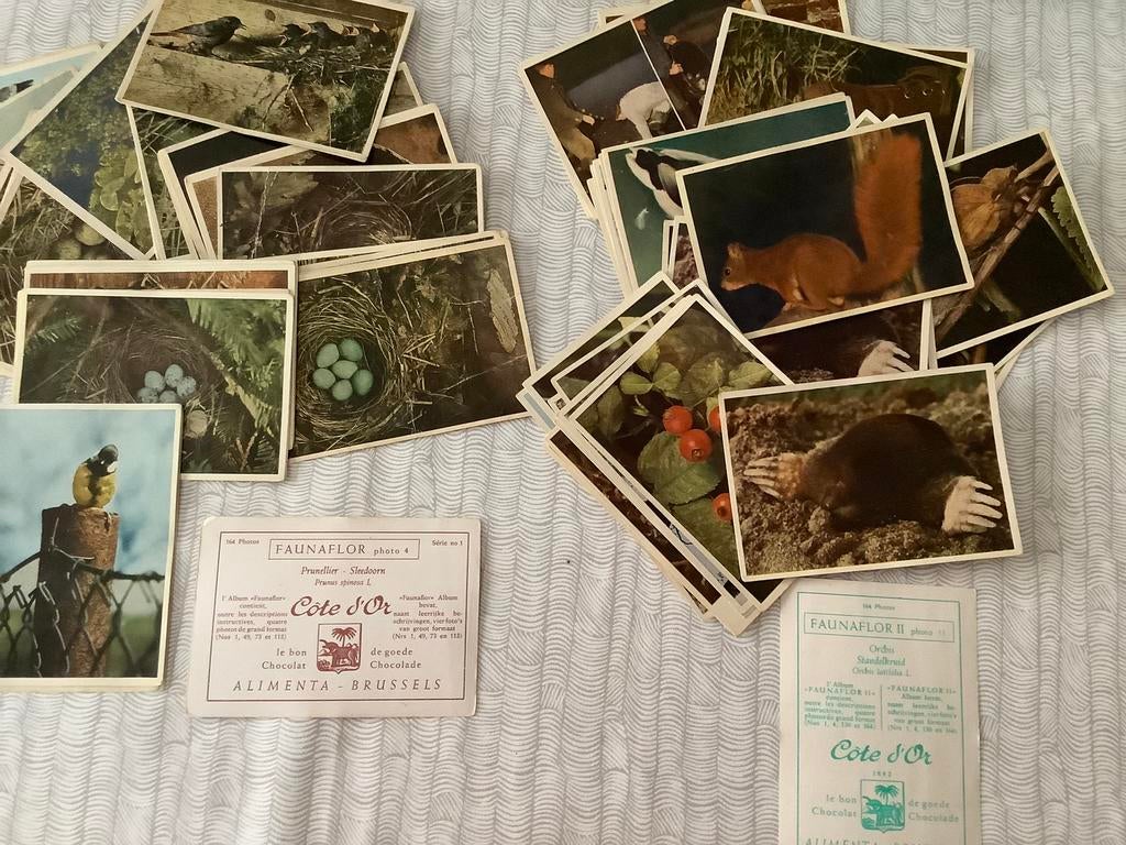 Prenten van Côté d’Or: retro, Boeken, Ophalen