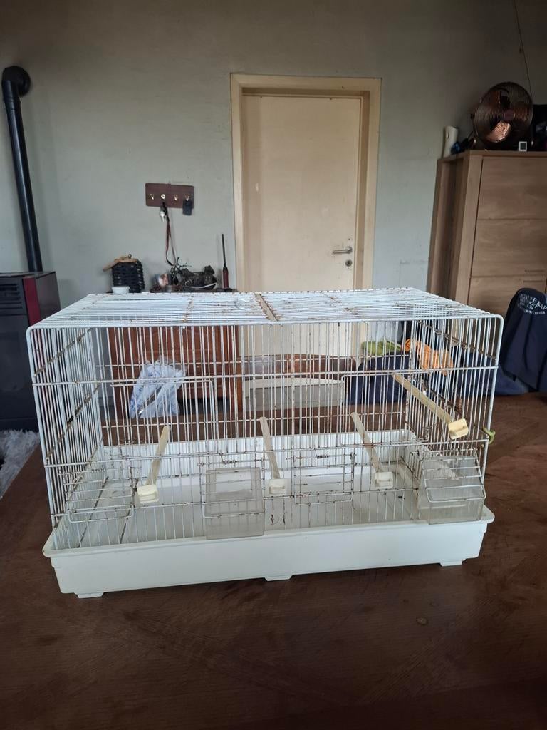 Vogelkooi, Enlèvement, Cage à oiseaux