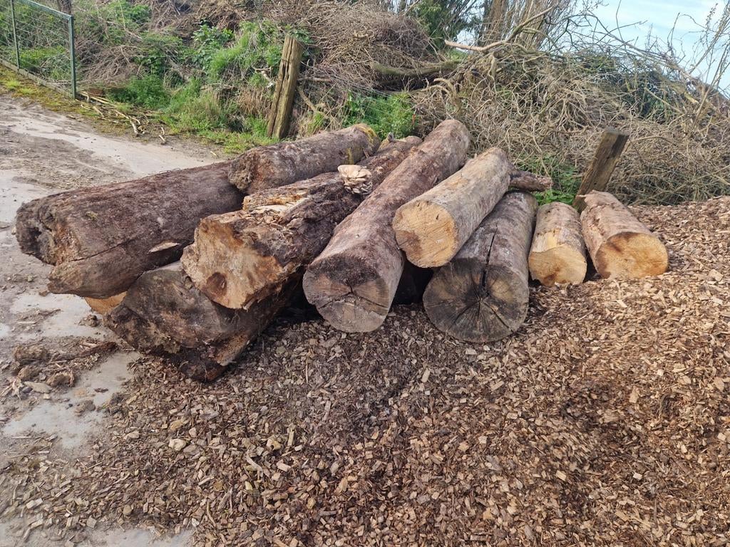 boomstammen te koop, Ophalen