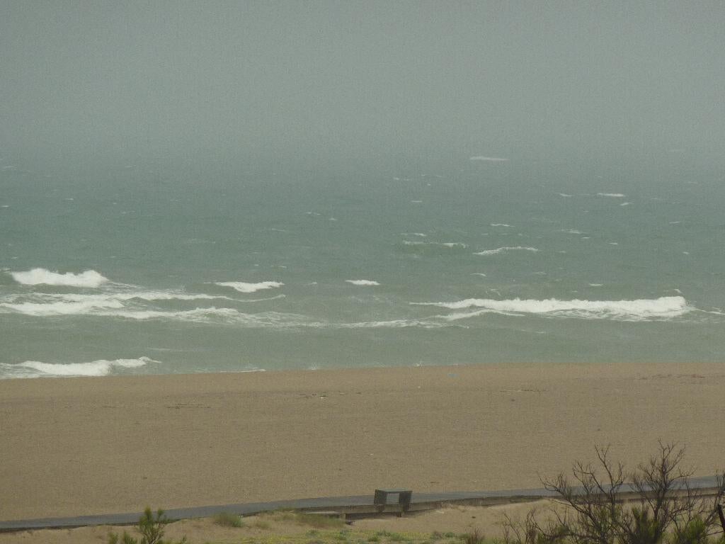 appartement vue mer Port Leucate, Immo, Buitenland, Port Leucate, Dorp, Frankrijk, Appartement