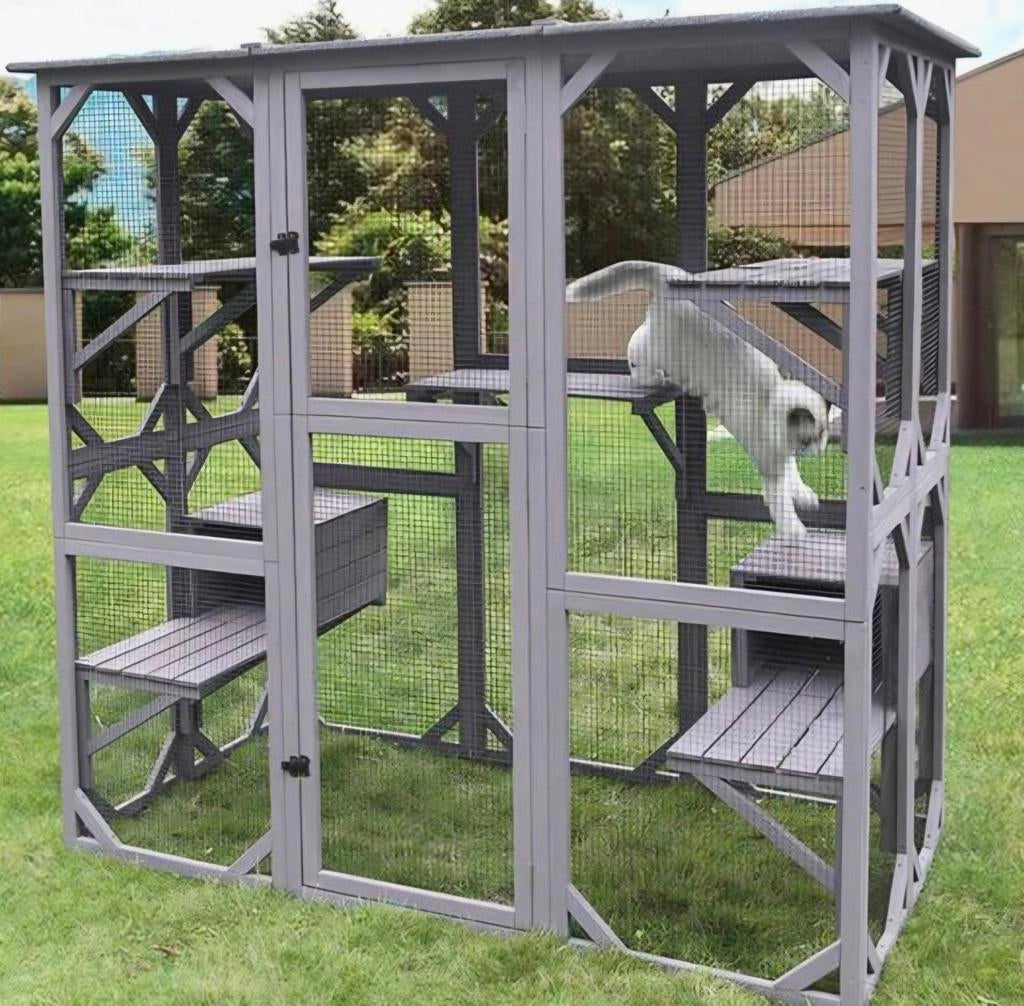 Kattenren, Dieren en Toebehoren, Ophalen