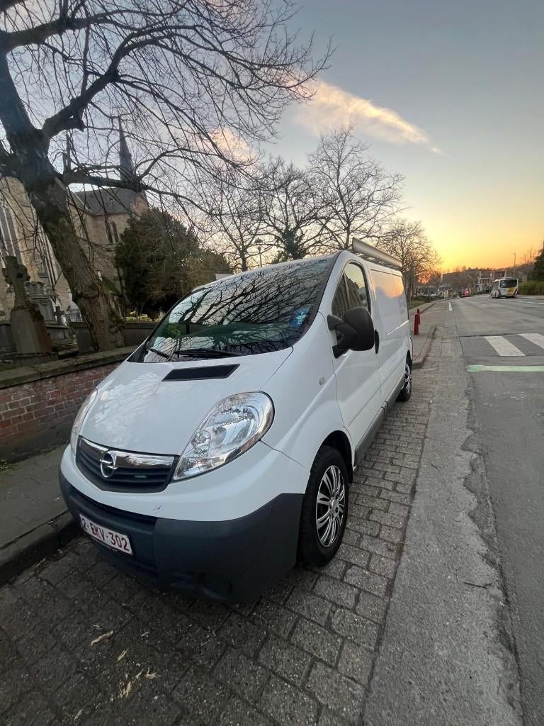 Opel Vivaro F7, Euro 5, Wit, Particulier, Te koop