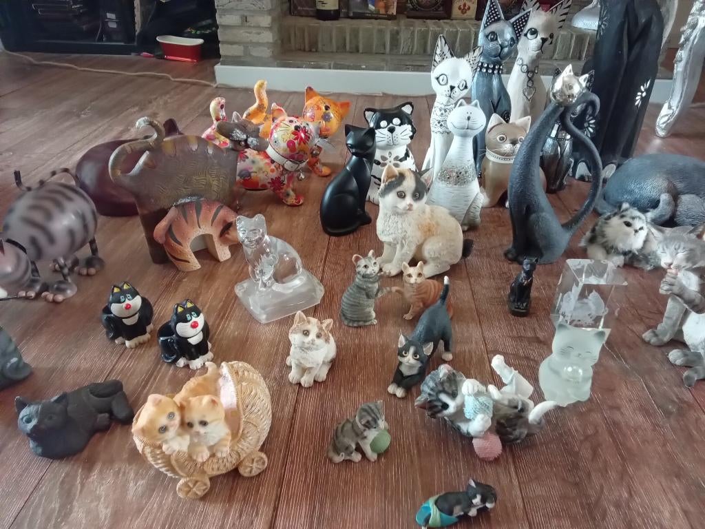 Verzameling poezen, Enlèvement