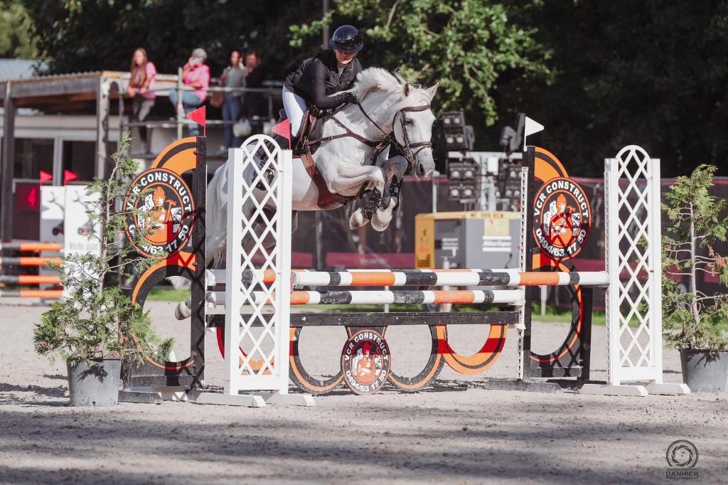 Sportpaard, Animaux & Accessoires, Chevaux, Vermifugé, 11 ans ou plus, Hongre, Moins de 160 cm