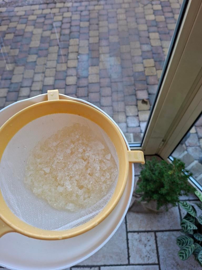 Waterkefir, Diversen, Levensmiddelen, Ophalen