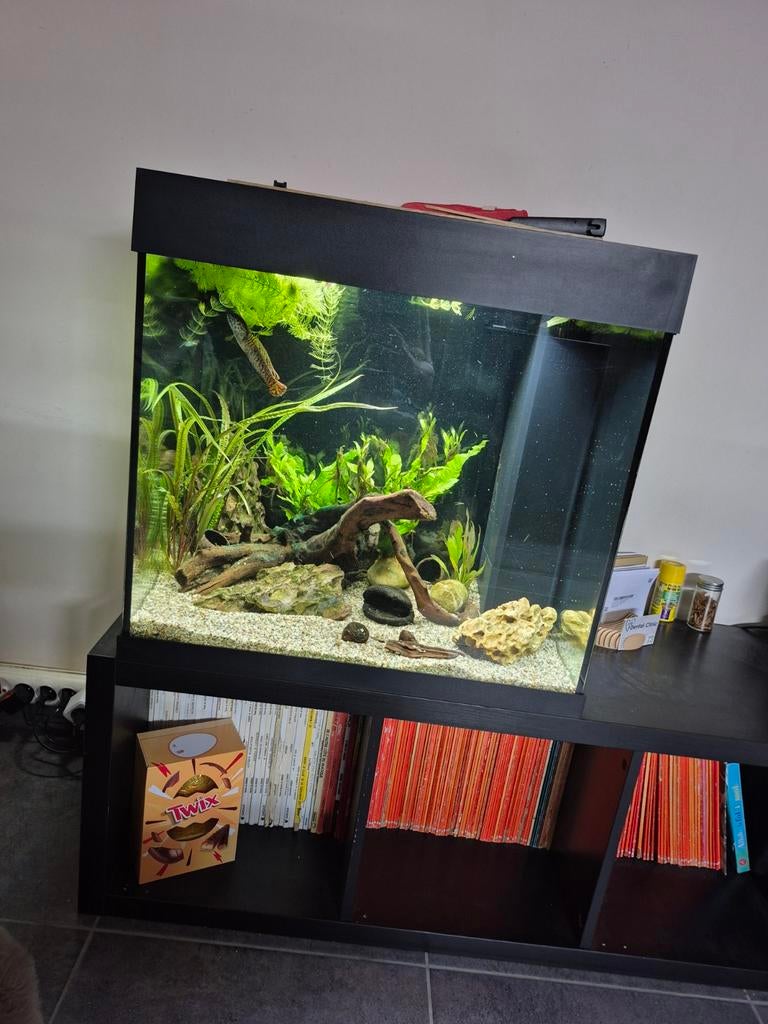 Juwel lido 120 avec rampe rgb en plus programmables, Enlèvement