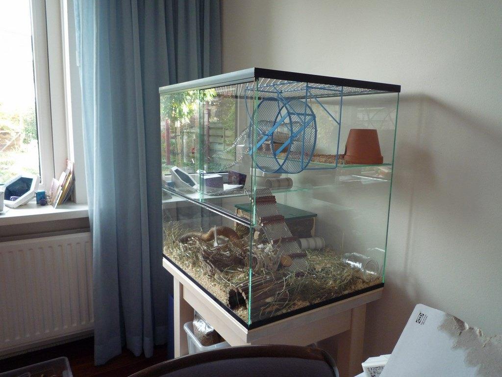 Gerbilarium geschikt voor gerbil of muis, Dieren en Toebehoren, Minder dan 60 cm, Ophalen of Verzenden, Muis, Hok