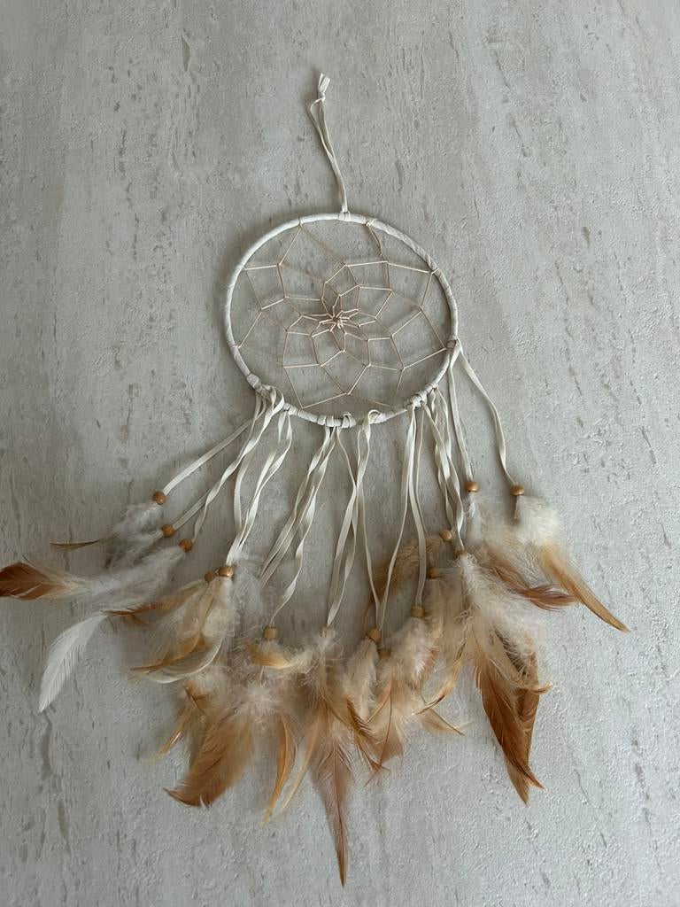 Dromenvanger 5€, Enlèvement ou Envoi