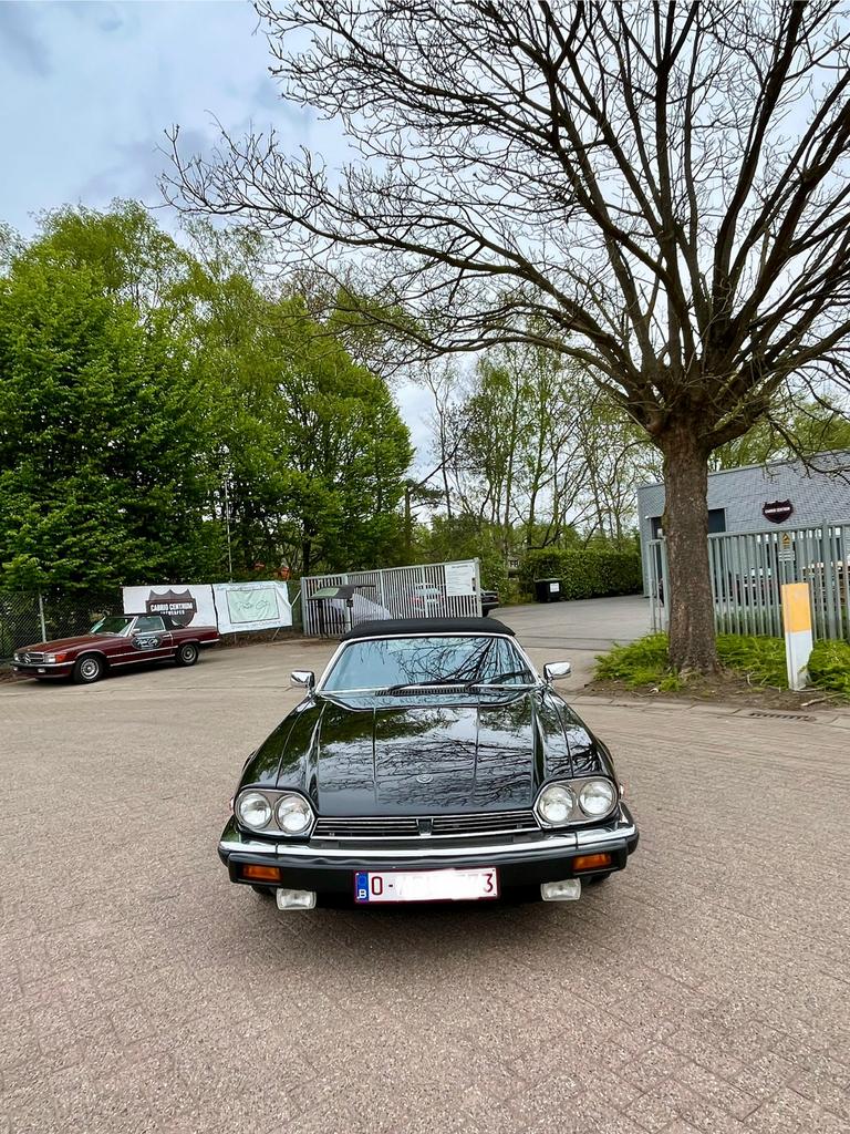 Jaguar XJS V12 Hess & Eisenhardt, Autos, Cuir, Achat, 5400 cm³, Entreprise