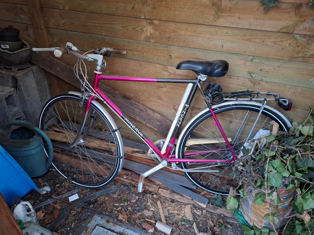 Vélo Minerva pour entretien vélo pour homme, Enlèvement, Utilisé, Autres marques