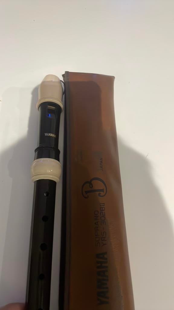 Blokfluit, Enlèvement, Comme neuf