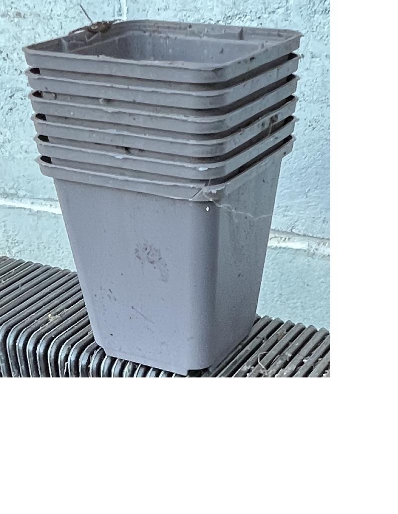 vierkante P9 potjes harde plastiek 9 x 10 cm, Tuin en Terras, Bloempotten, Kunststof, Vierkant, Ophalen of Verzenden, Zo goed als nieuw