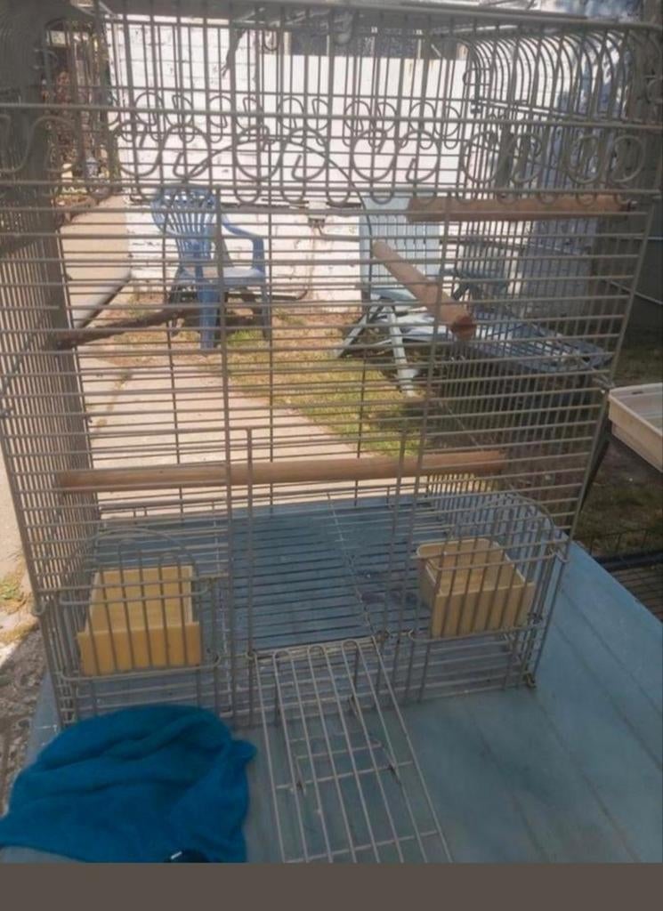 Cage pour oiseau, Enlèvement, Utilisé