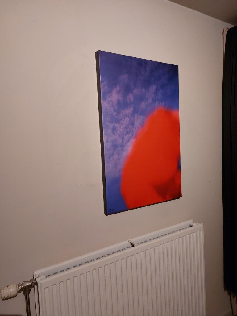 VERF ED     POPPY, Antiek en Kunst, Verzenden