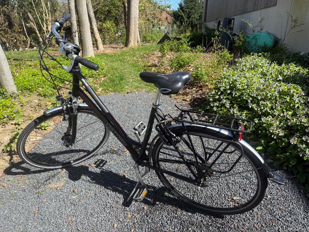 Damesfiets Oxford 7v, Autres marques, Vitesses, Frein sur jante, Enlèvement