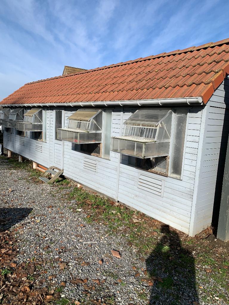 Demster duivenhok te koop, Ophalen, Gebruikt