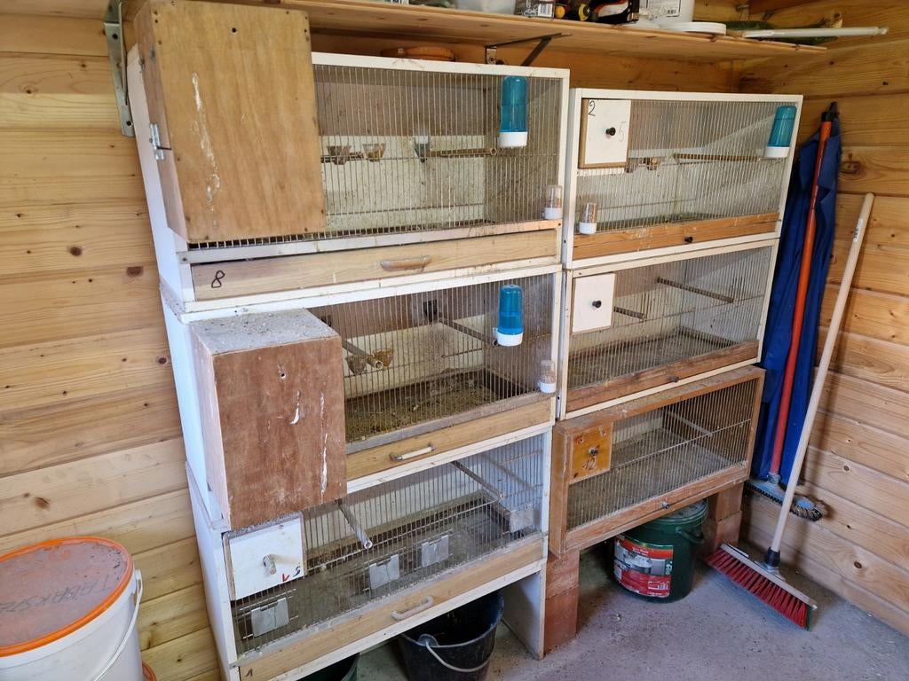 Kweekkooien, Enlèvement ou Envoi