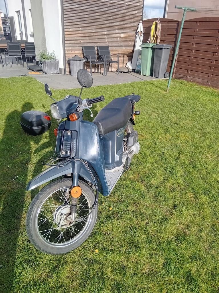 Honda scoopy sh50, Fietsen en Brommers, Brommers | Overige merken, Ophalen