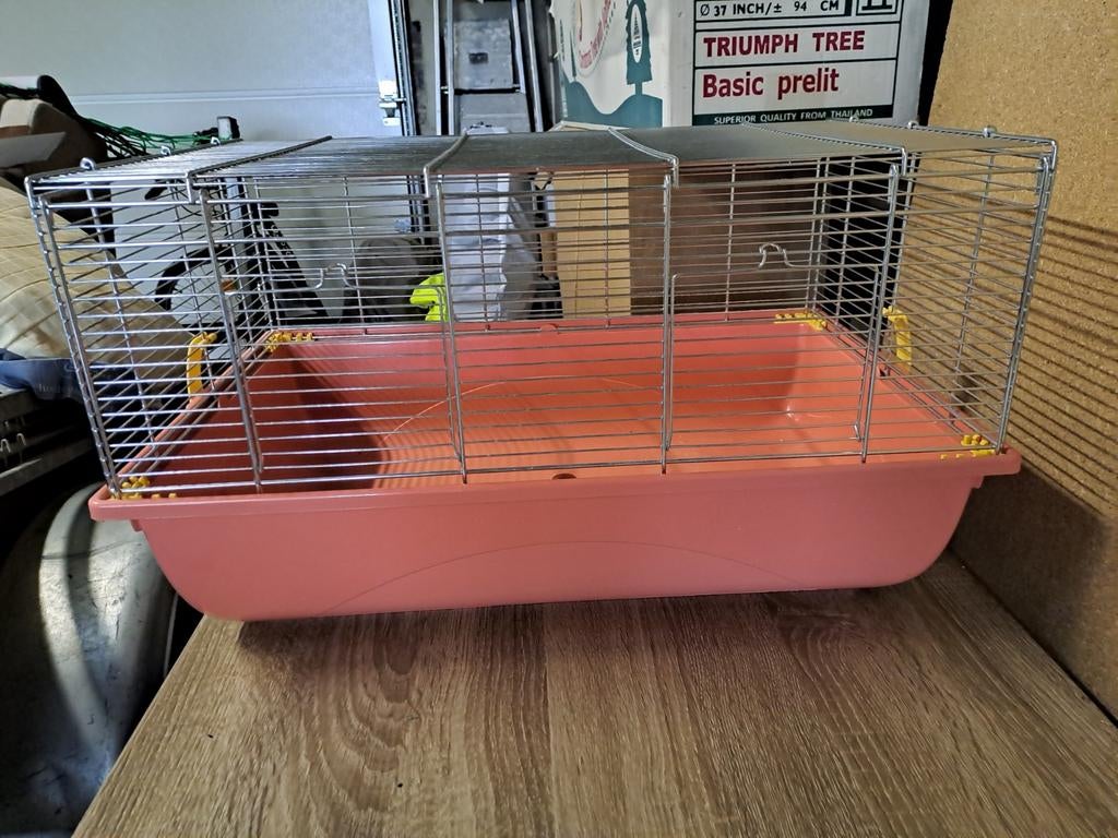 Hamsterkooi, Dieren en Toebehoren, Knaagdieren en Konijnen | Hokken en Kooien, Ophalen