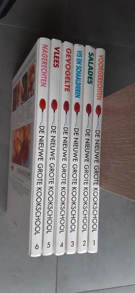 lannoo kookschool - koken, Boeken, Ophalen of Verzenden, Zo goed als nieuw, Hoofdgerechten, Europa