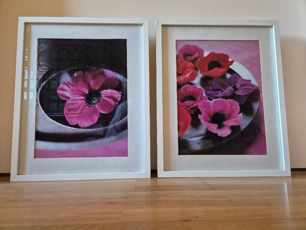 Fotokader klaproos klaprozen 2 kaders, Neuf, Violet, Sous verre, Enlèvement