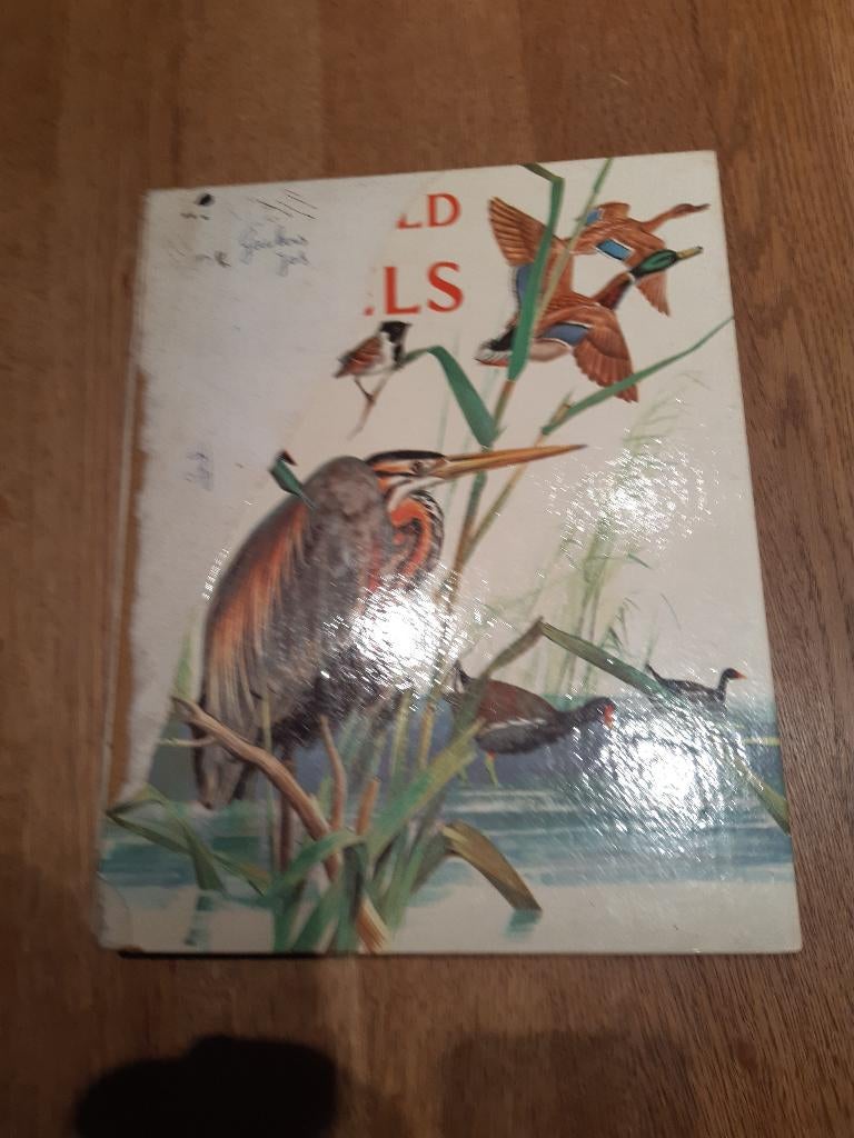 boek de wereld der vogels, Boeken, Natuur, Ophalen of Verzenden, Gelezen, Vogels