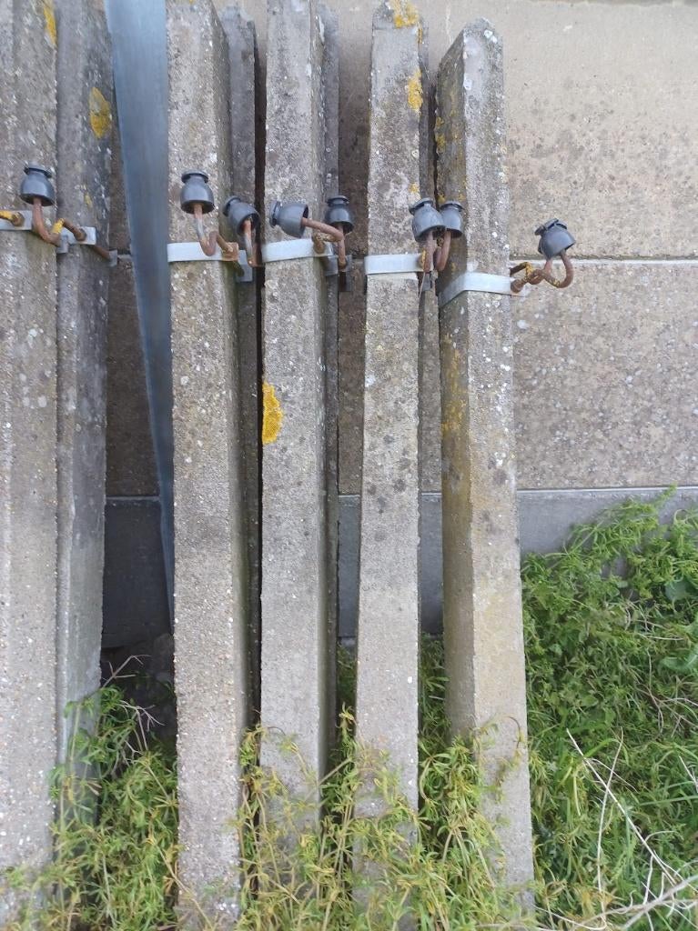 Weide palen, Tuin en Terras, Ophalen, Gebruikt, 180 tot 250 cm, Palen