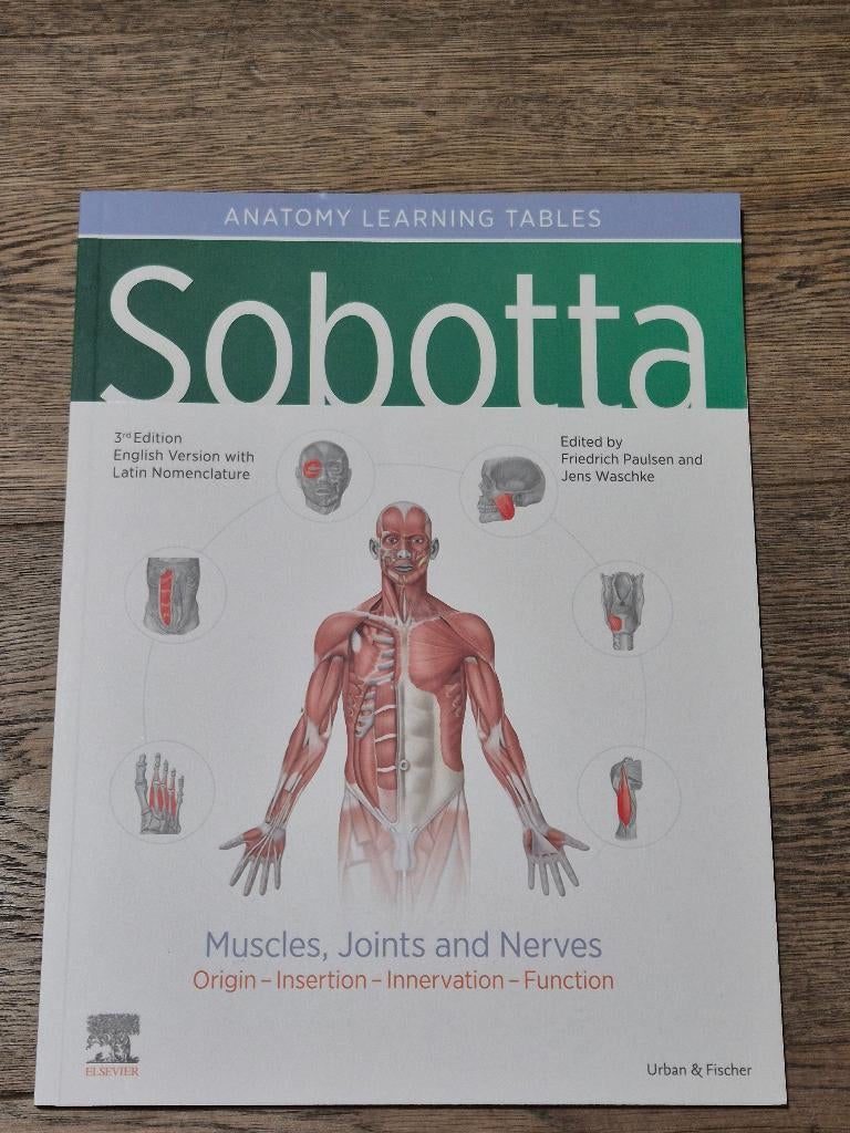 sobotta : muscles, articulations et nerfs, Livres, Enlèvement ou Envoi, Comme neuf, Enseignement supérieur, Acco