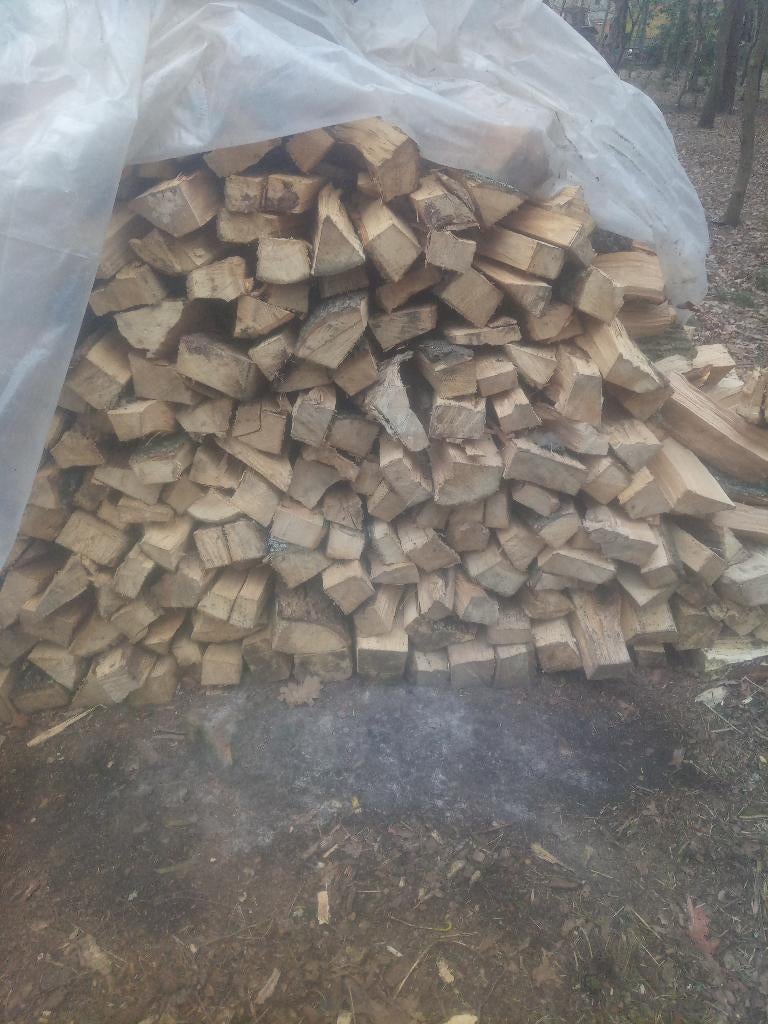 Brandhout ES & EIK, Tuin en Terras, 6 m³ of meer, Ophalen of Verzenden, Essenhout, Blokken