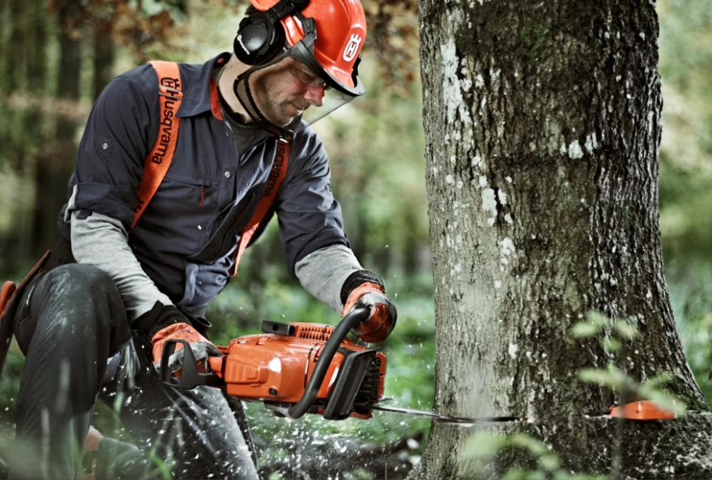 Gratis bomen omzagen voor brandhout, Ophalen