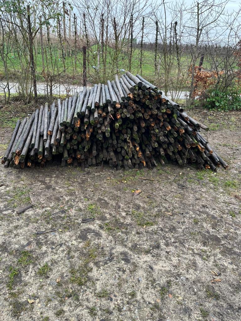 Gratis Houten palen & ijzerdraad/spanners (GEEN BRANDHOUT!), Ophalen, Gebruikt, Palen