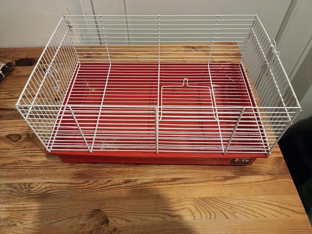 cage hamster, Kooi, Gebruikt, Minder dan 75 cm, Muis
