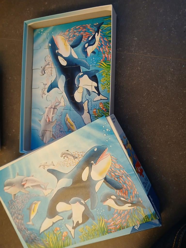 Puzzle du monde sous-marin, Enlèvement