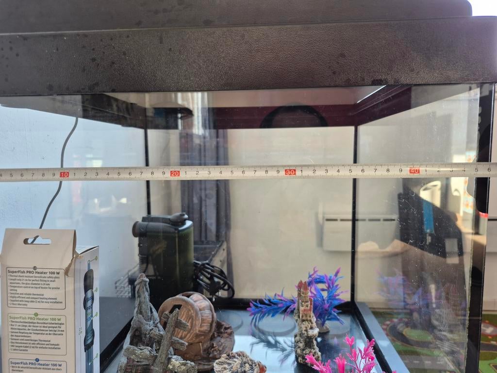 Ik verkoop mijn aquarium omdat ik stop met deze hobby. De af, Jardin & Terrasse, Verrières, Enlèvement ou Envoi