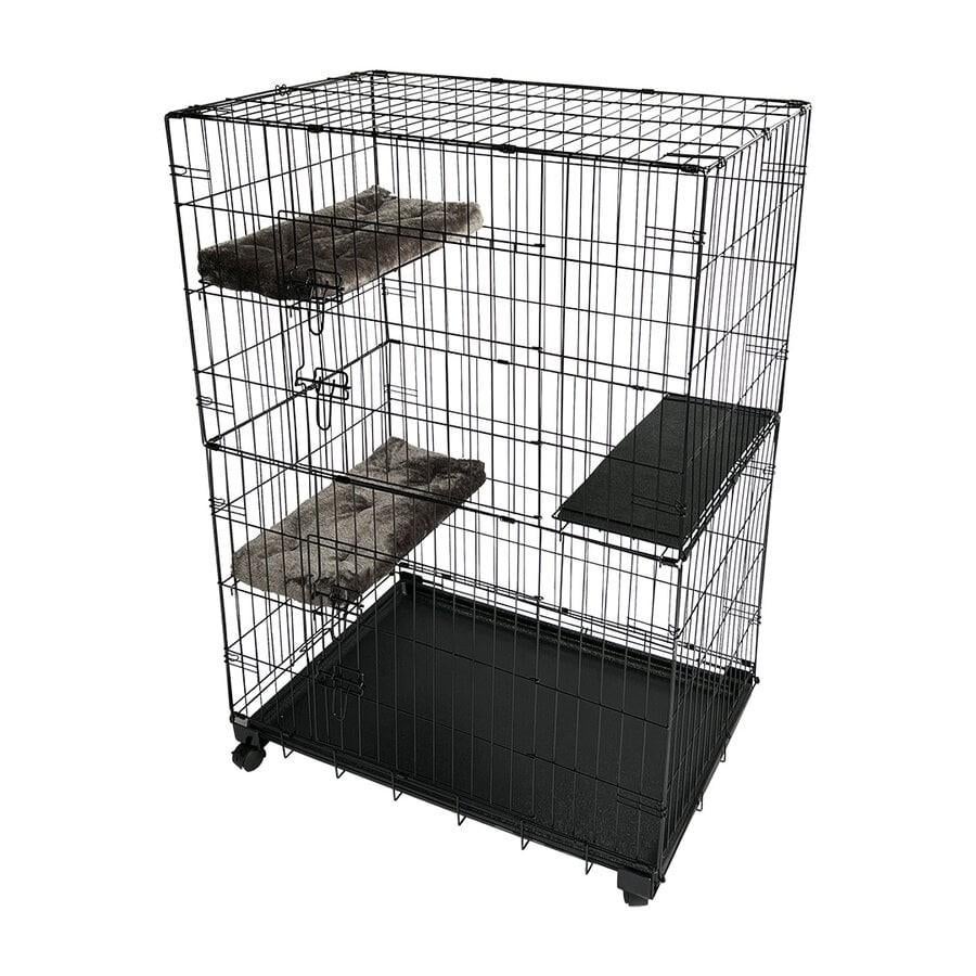 Kattenbench, Enlèvement