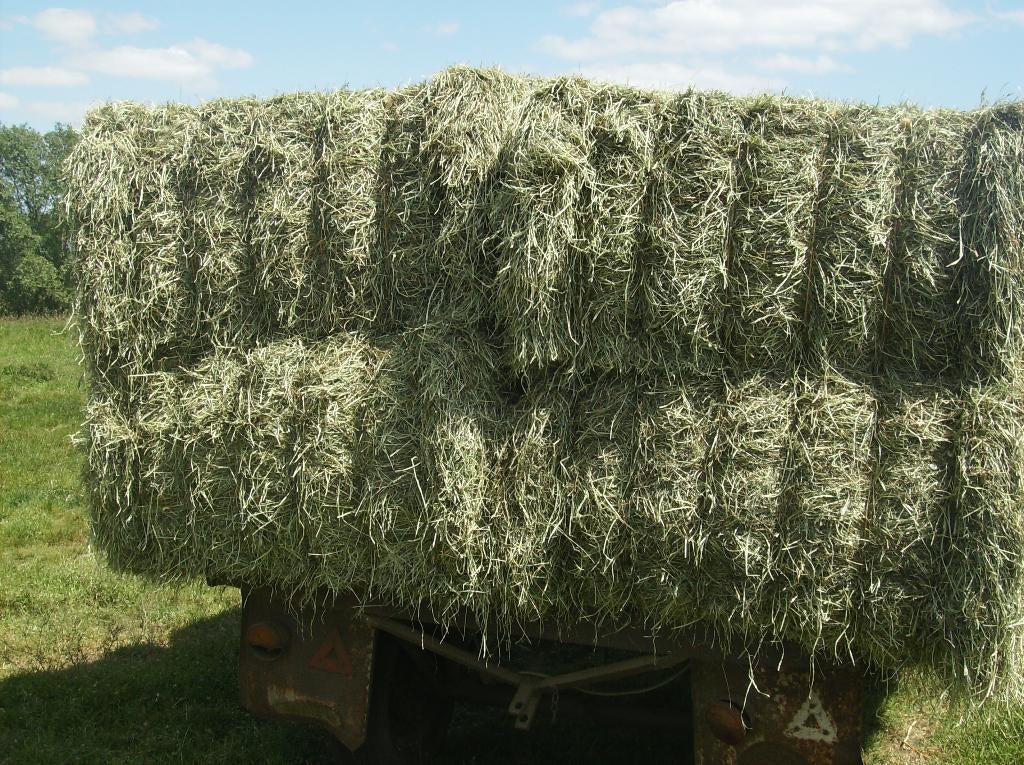 Foin, Animaux & Accessoires, Nourriture pour Animaux, Enlèvement