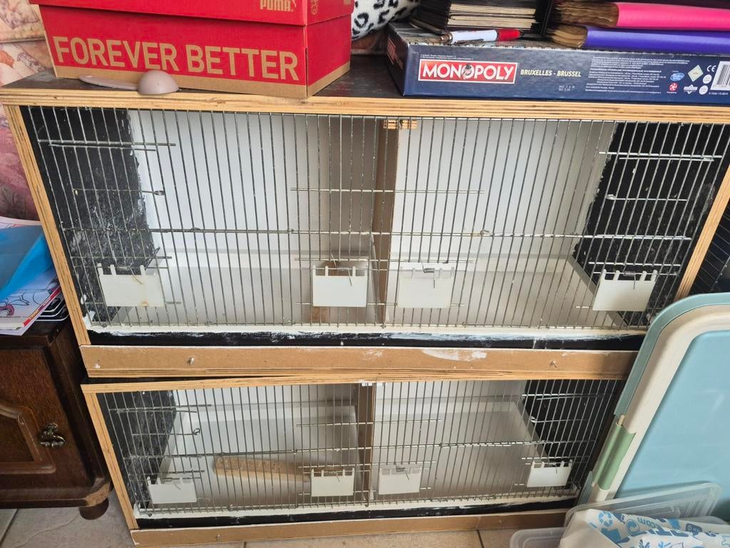 Kweekkooien, Ophalen